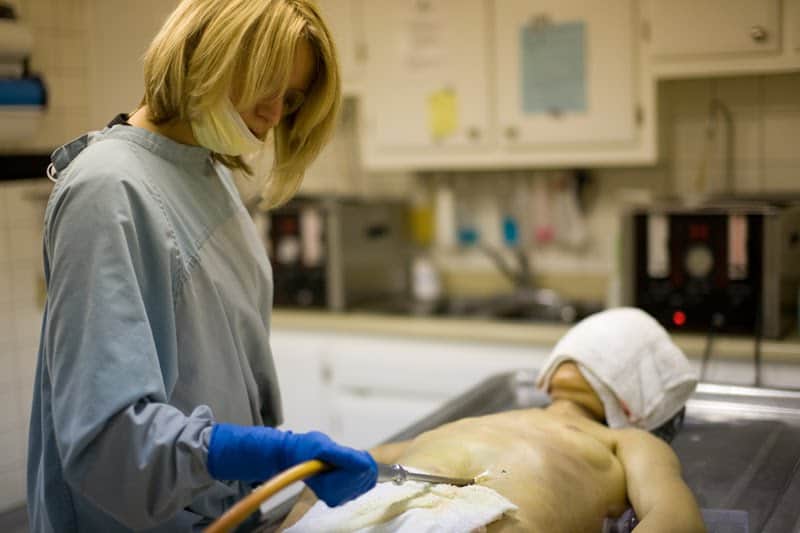 Funeral Service by Savelife Ambulance – Compassionate End-of-Life Support